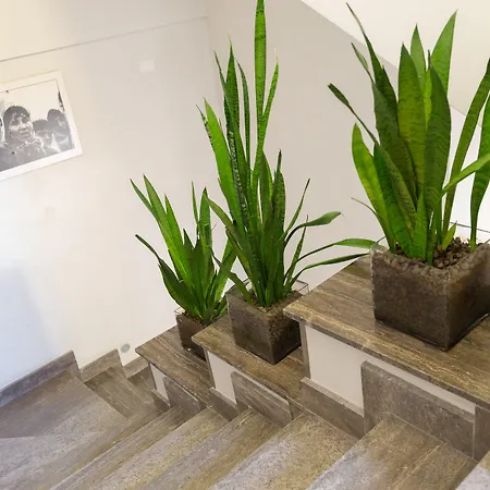 Quintocanto & Παλέρμο